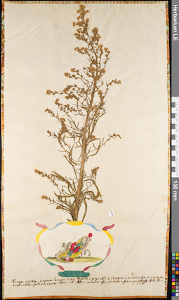 LE 01084490