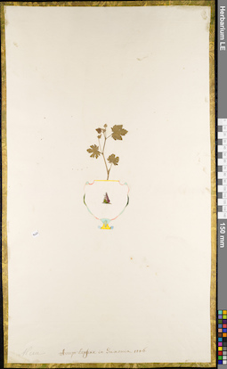 LE 01084553