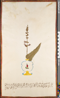 LE 01084823