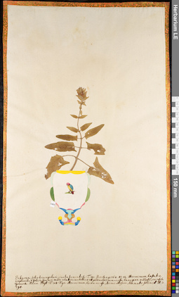 LE 01084825