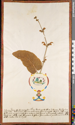 LE 01084826