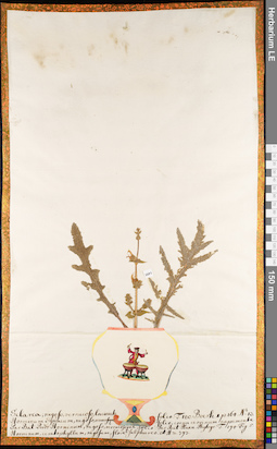 LE 01084831