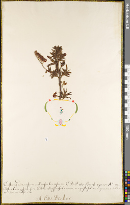 LE 01084836