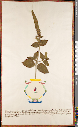 LE 01084839