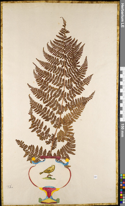 LE 01084848