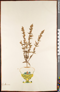 LE 01084856
