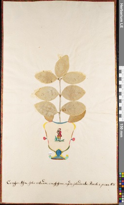 LE 01084869