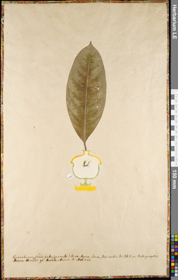 LE 01084885