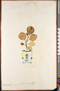 LE 01084897