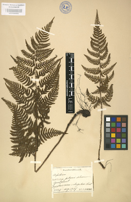 LE 01000063