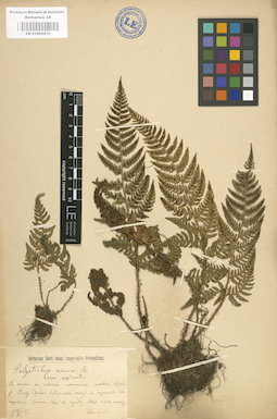 LE 01000072