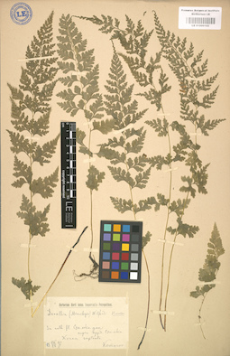 LE 01000102