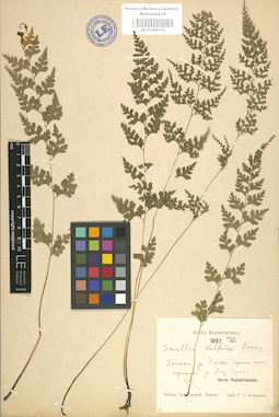 LE 01000103