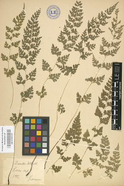 LE 01000105