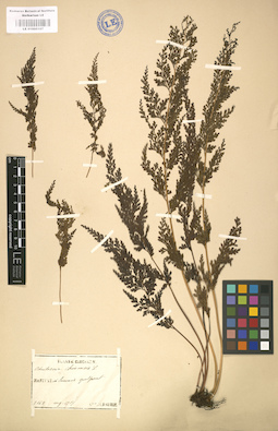 LE 01000107
