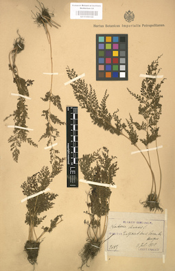 LE 01000108