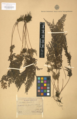 LE 01000109