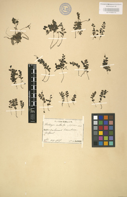 LE 01000114