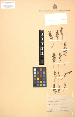 LE 01000115