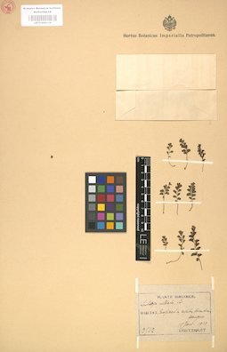 LE 01000116