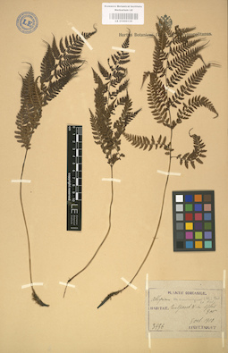LE 01000135