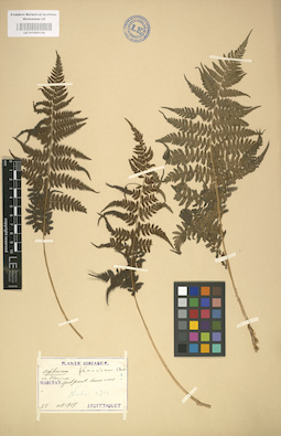 LE 01000136