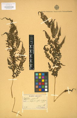 LE 01000140