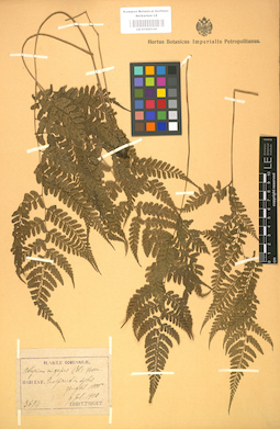 LE 01000141