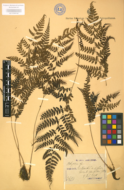 LE 01000142