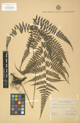 LE 01000144