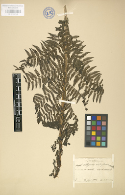 LE 01000149