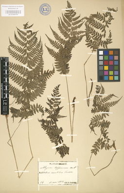 LE 01000150