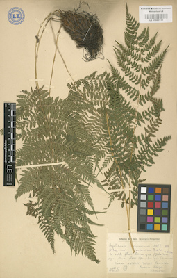 LE 01000153