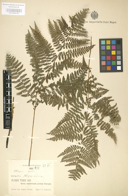 LE 01000158