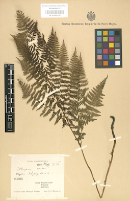 LE 01000160