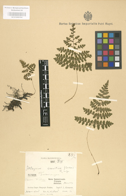 LE 01000164