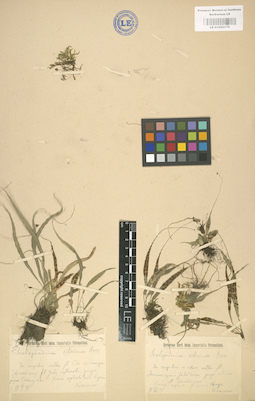 LE 01000179