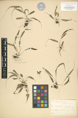 LE 01000180