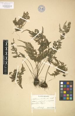 LE 01000183