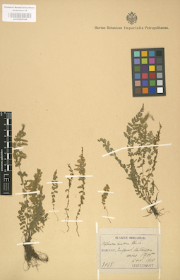 LE 01000184