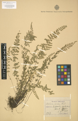 LE 01000186