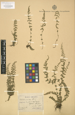 LE 01000187