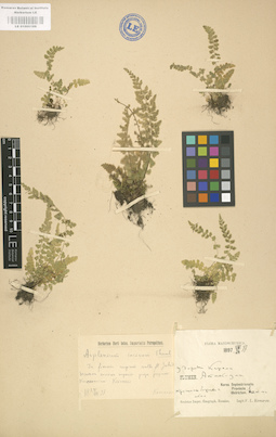LE 01000189
