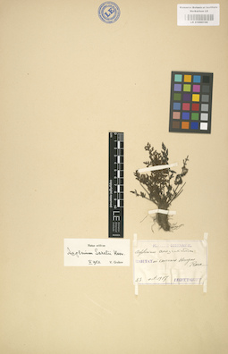 LE 01000190
