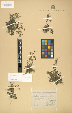 LE 01000191
