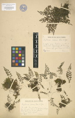 LE 01000195