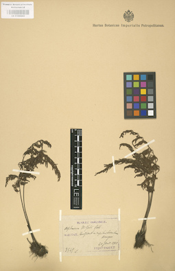 LE 01000202