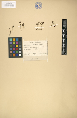 LE 01000211