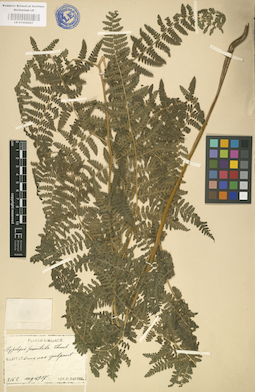 LE 01000227