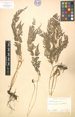 LE 01000228